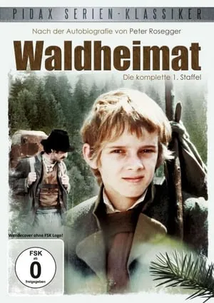 Carátula de Waldheimat