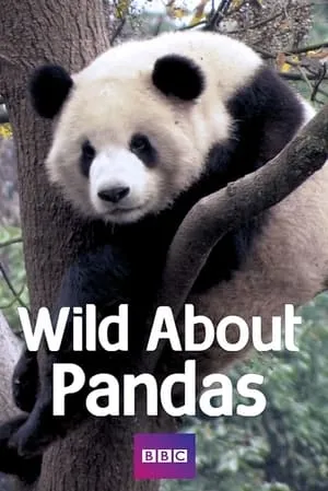 Carátula de Wild About Pandas