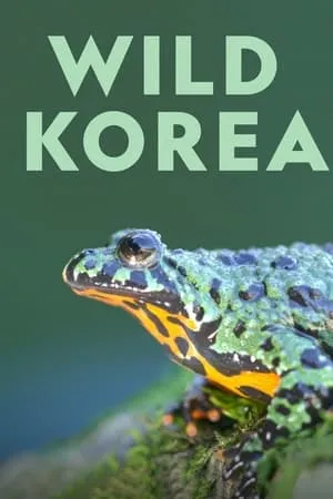 Carátula de Wild Korea