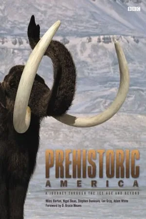 Carátula de Wild New World