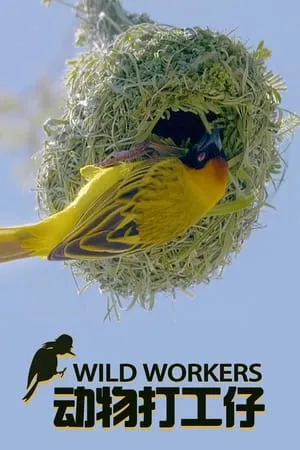 Carátula de Wild Workers