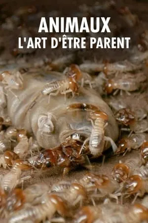 Carátula de Wilde Eltern