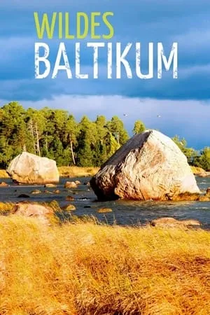 Carátula de Wildes Baltikum