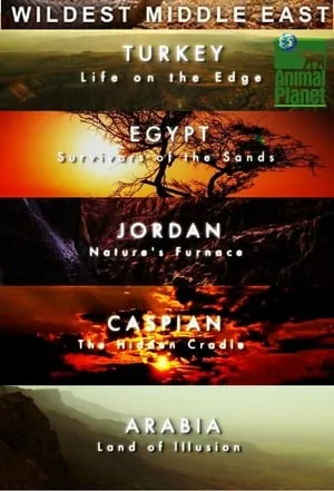 Carátula de Wildest Middle East