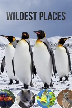 Carátula de Wildest Places