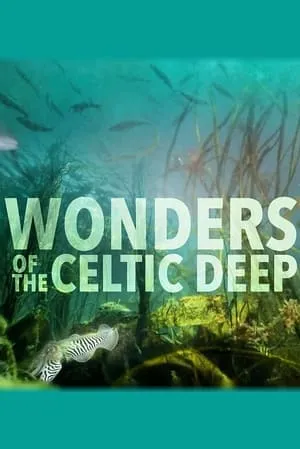 Carátula de Wonders of the Celtic Deep