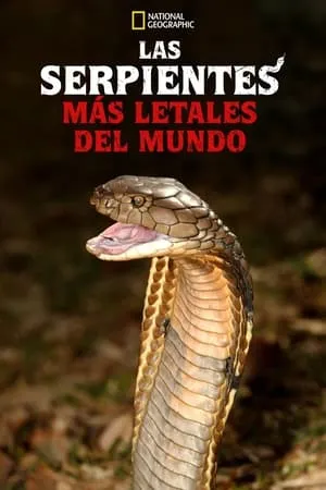Carátula de World's Deadliest Snakes