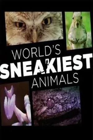 Carátula de World's Sneakiest Animals