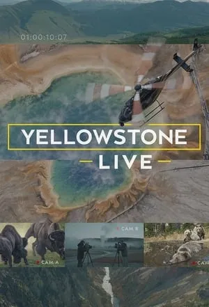 Carátula de Yellowstone Live