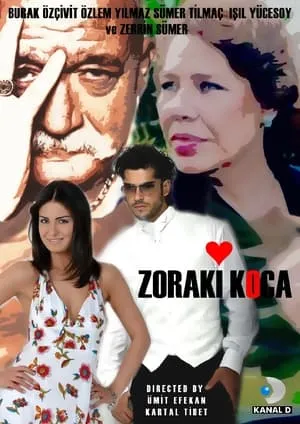 Carátula de Zoraki Koca (The Accidental Husband)