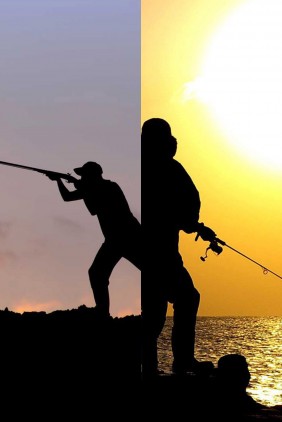 Carátula de Cetrería cría en cautividad con Manuel Pareja Obregón