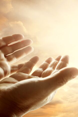 Carátula de Vidas con luz